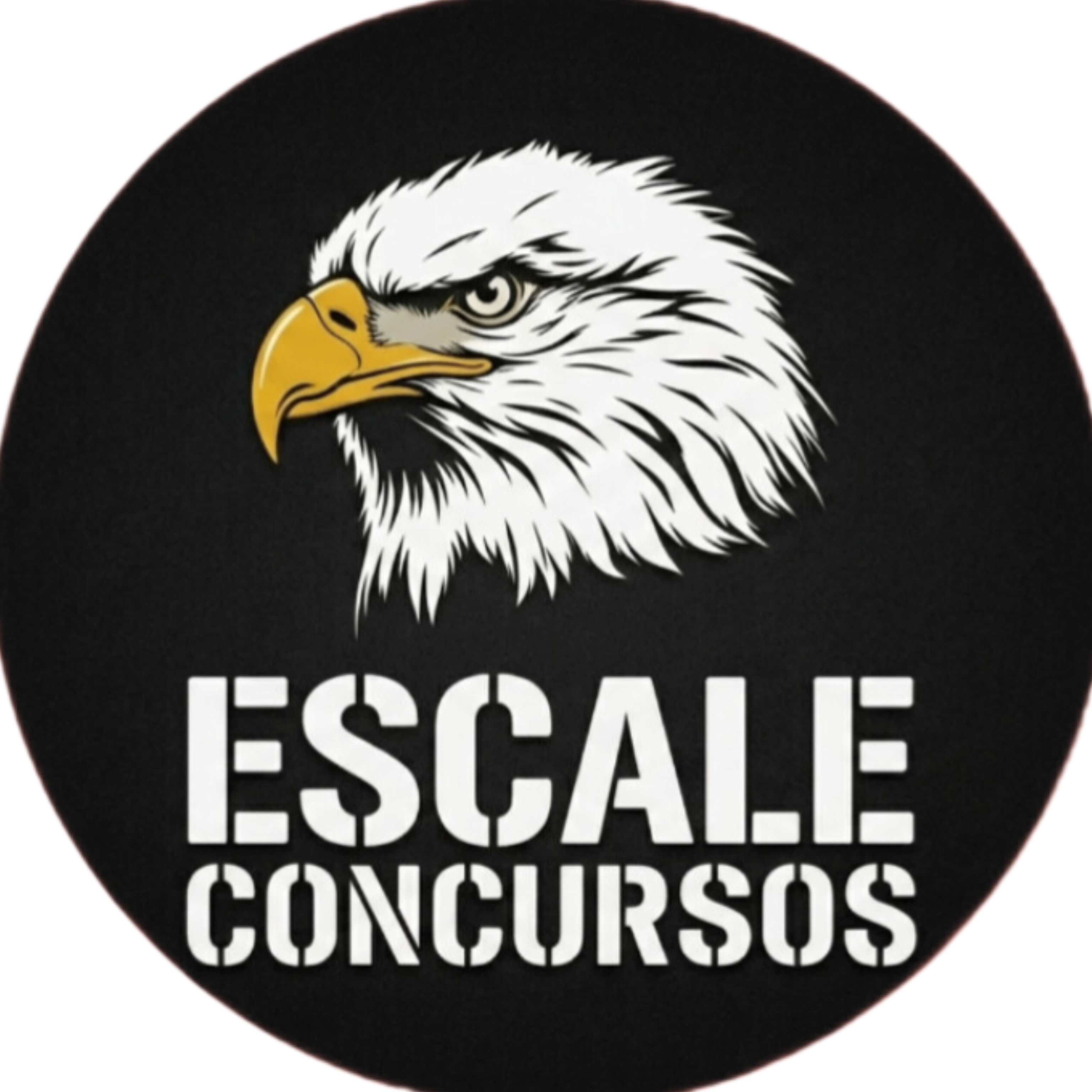 Logo Escale Concursos